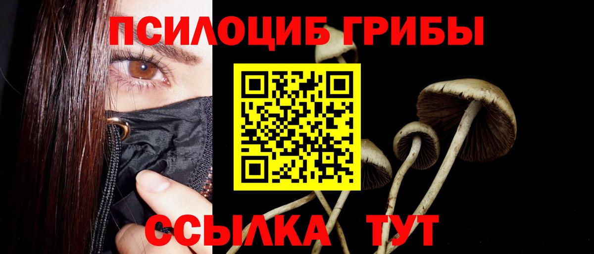 Коммунар  даркнет сайт  Псилоцибиновые грибы MAGIC MUSHROOMS  Вход с VPN  Псилоцибиновые грибы GOLDEN TEACHER 